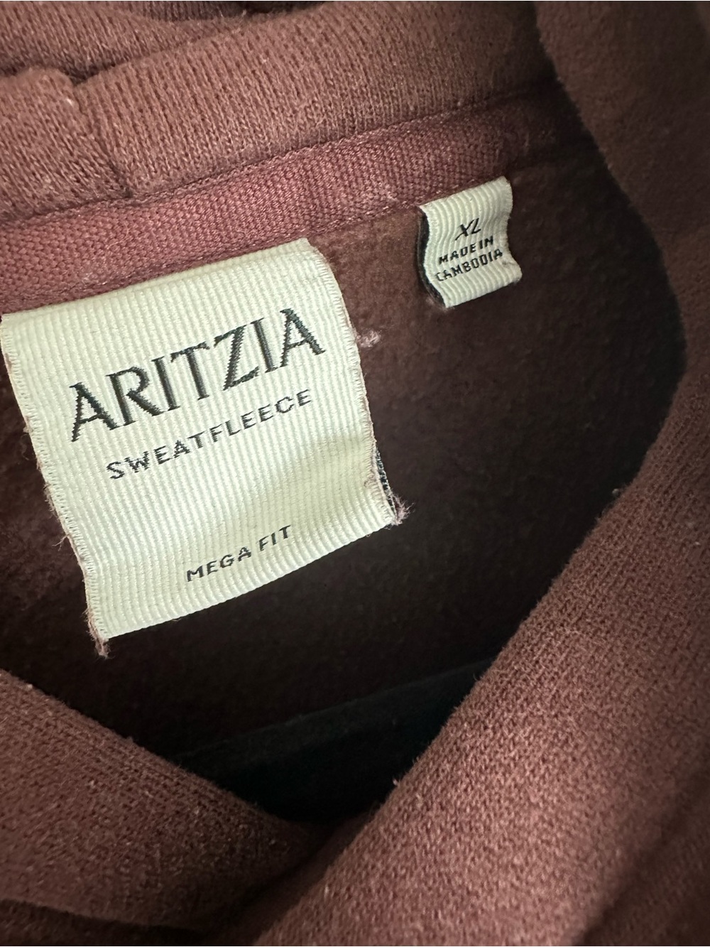 Aritzia Sweatfleece Mega Fit Hoodie